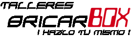 Talleres Bricarbox SL Logo